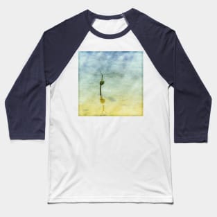 Mangrove with Shadow and Reflection Baseball T-Shirt